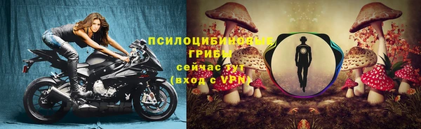 2c-b Алзамай