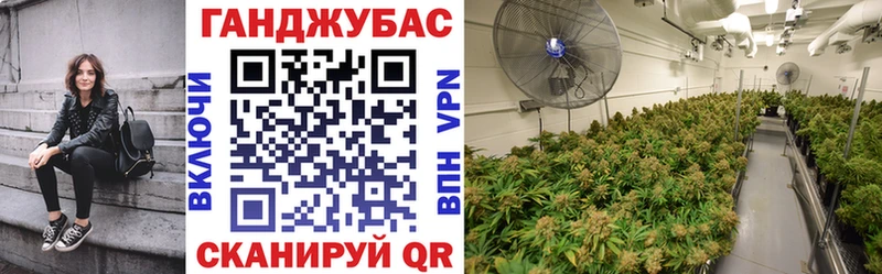 продажа наркотиков  кракен ссылки  Бошки марихуана конопля  Энем 